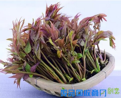清明节安徽人吃什么？青团馓子螺蛳蒿子粑粑你吃了几个？