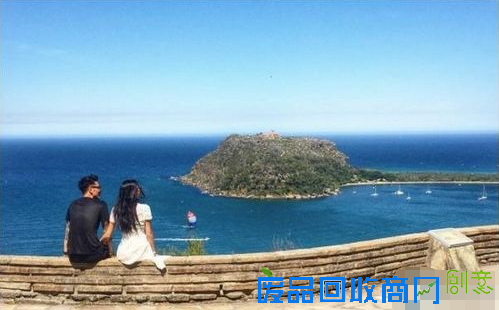 王阳明抵达澳洲婚礼举办地 与女友拍唯美结婚照(图)