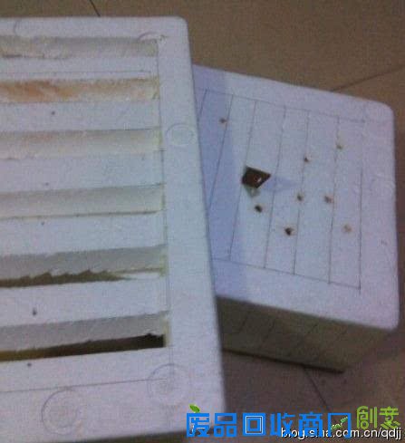 阳台种菜，手工DIY吃到新鲜菜！手把手教你