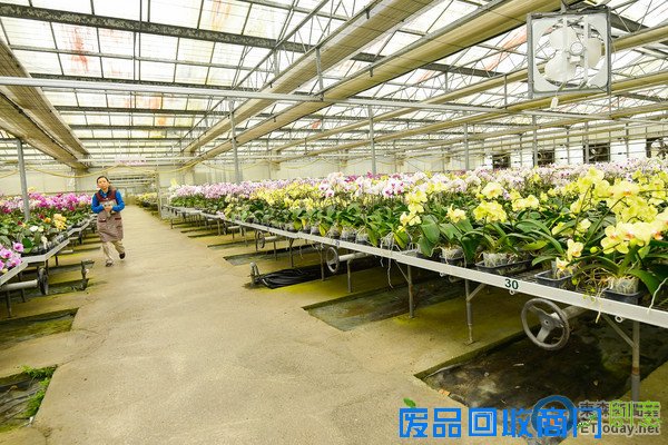 雨天宜蘭超好玩！室內吃喝玩樂大人小孩一次滿足