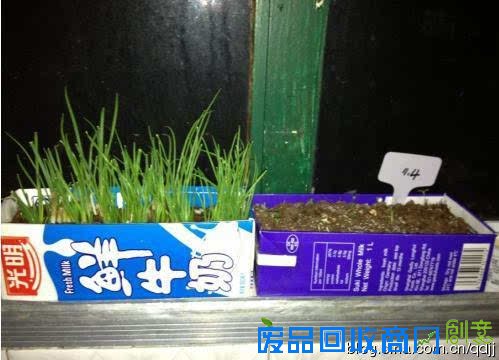 阳台种菜，手工DIY吃到新鲜菜！手把手教你