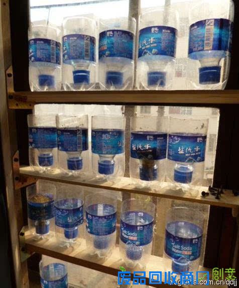 阳台种菜，手工DIY吃到新鲜菜！手把手教你