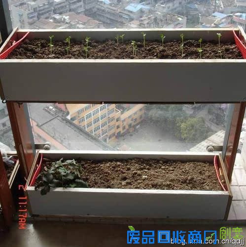 阳台种菜，手工DIY吃到新鲜菜！手把手教你
