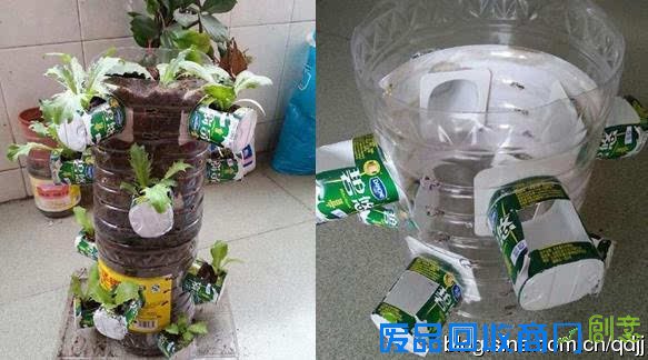 阳台种菜，手工DIY吃到新鲜菜！手把手教你