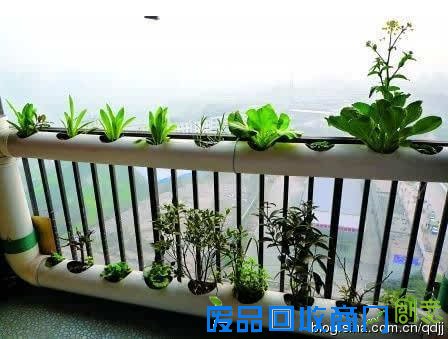 阳台种菜，手工DIY吃到新鲜菜！手把手教你