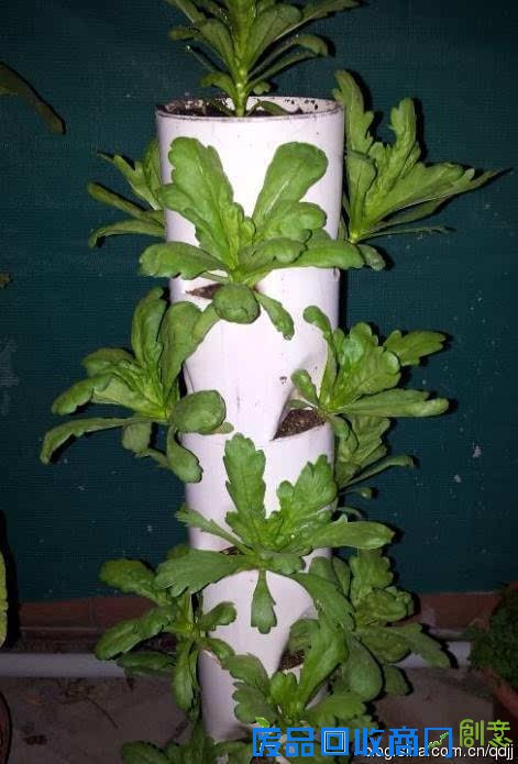 阳台种菜，手工DIY吃到新鲜菜！手把手教你