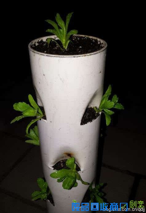 阳台种菜，手工DIY吃到新鲜菜！手把手教你