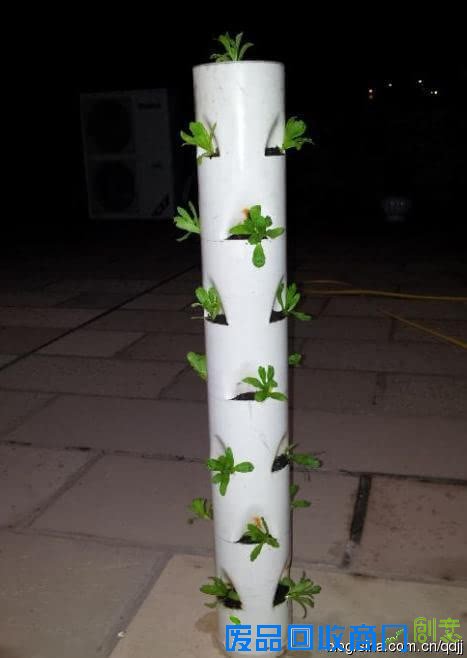 阳台种菜，手工DIY吃到新鲜菜！手把手教你