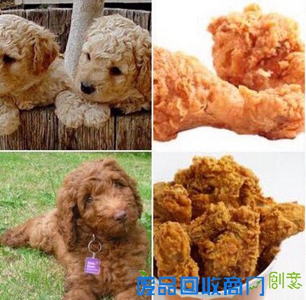推特上这组图片被转疯了 看了还能提高工作效率？