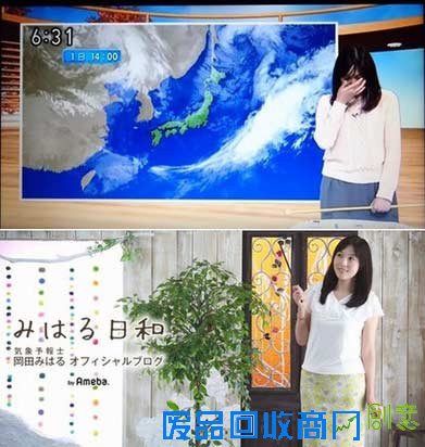 播天气泪崩被开除 揭日本美女主播梨花带雨背后真相