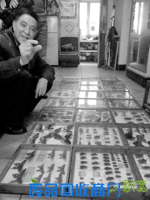 成都“80后”老顽童打造“蝴蝶人生”