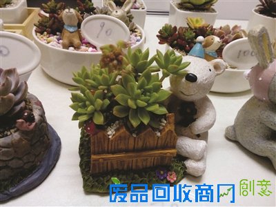 手工盆栽义卖白色情人节 残疾人自己制作盆景售卖献爱心