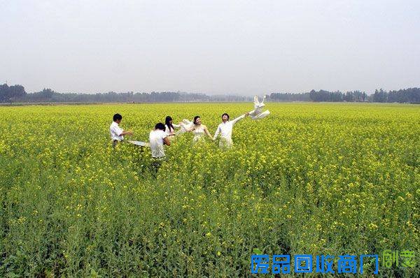 相约“京南水乡” 畅游房山长沟镇油菜花海攻略