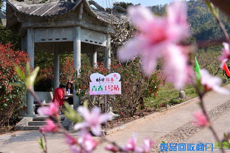 宁波多地开展文明出行 文明旅游主题活动 景美人更美