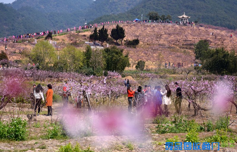 宁波多地开展文明出行 文明旅游主题活动 景美人更美