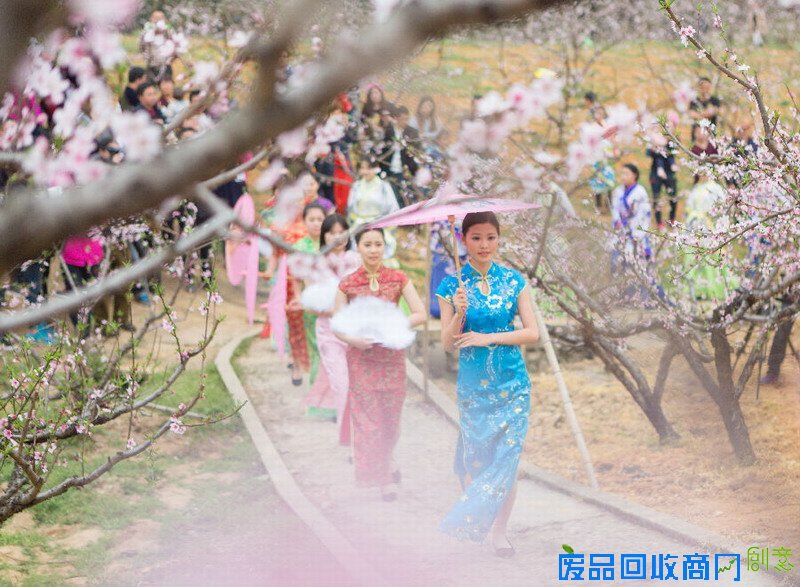 宁波多地开展文明出行 文明旅游主题活动 景美人更美