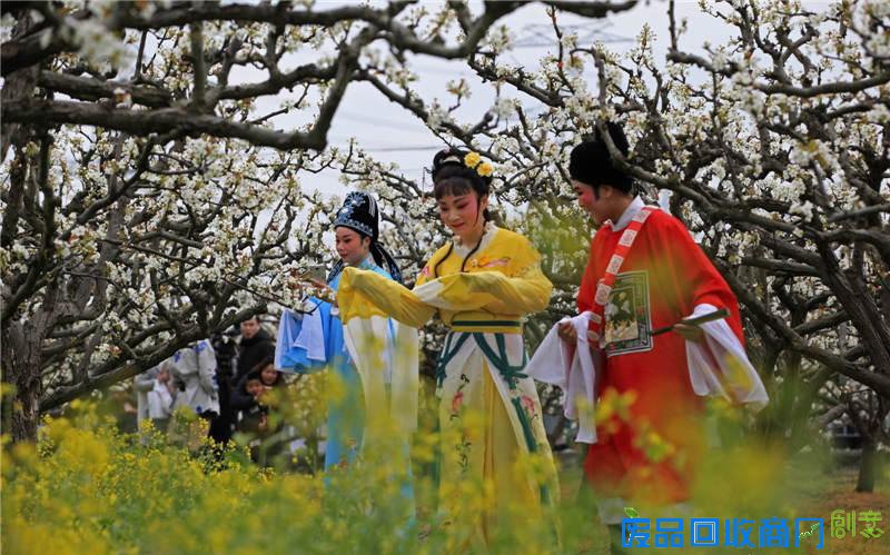 宁波多地开展文明出行 文明旅游主题活动 景美人更美