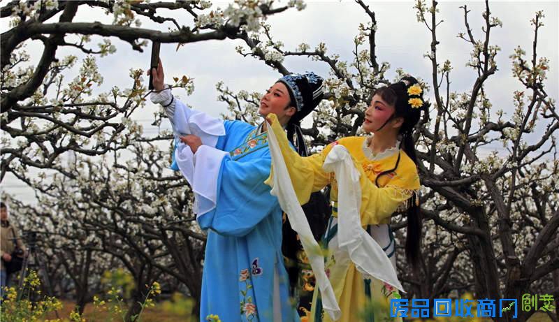宁波多地开展文明出行 文明旅游主题活动 景美人更美