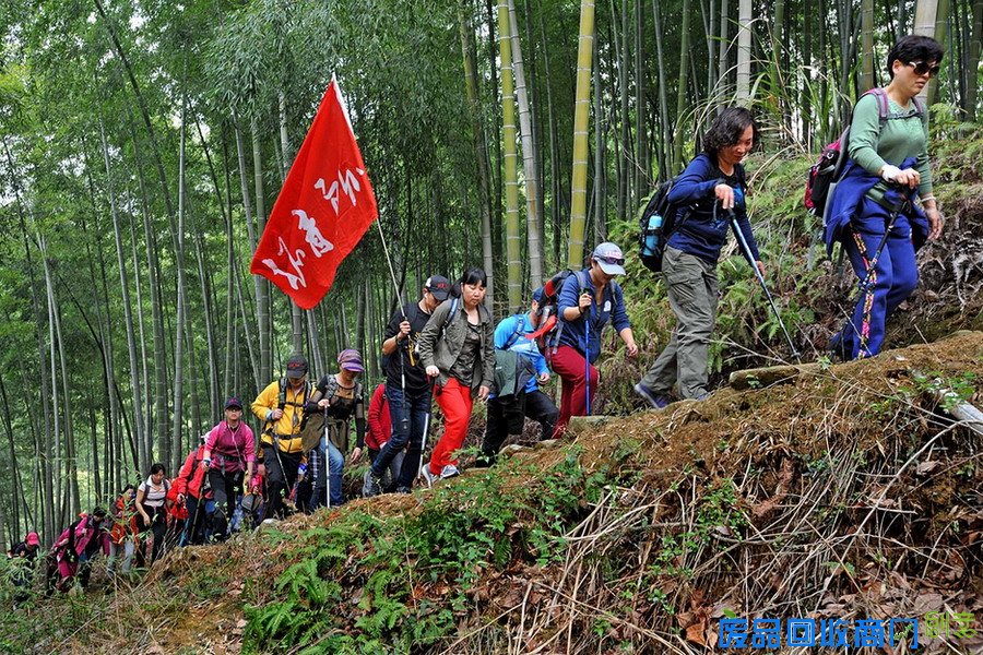 宁波多地开展文明出行 文明旅游主题活动 景美人更美