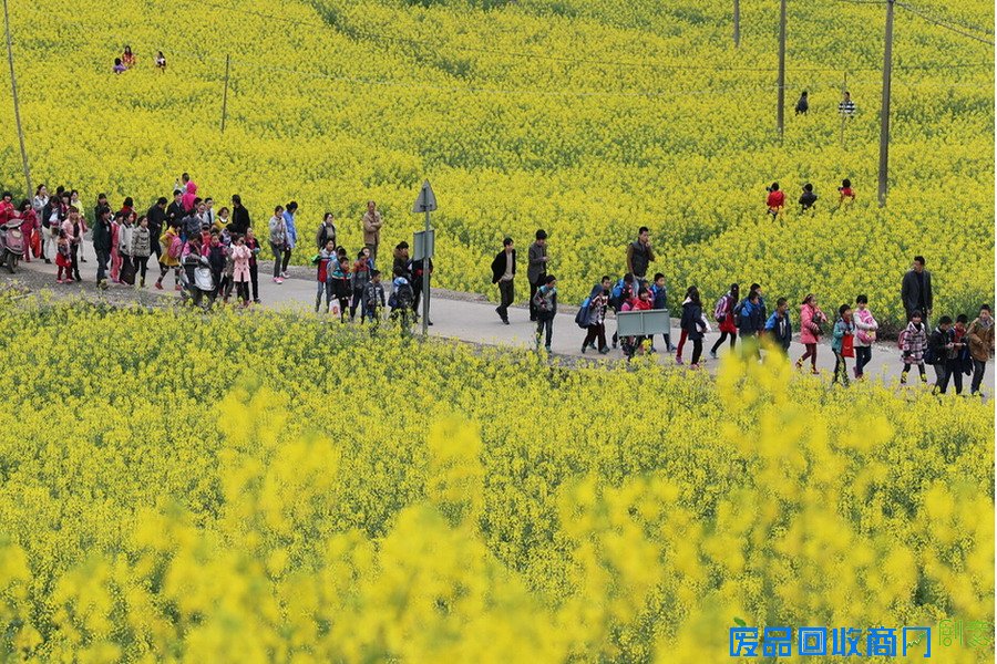 宁波多地开展文明出行 文明旅游主题活动 景美人更美