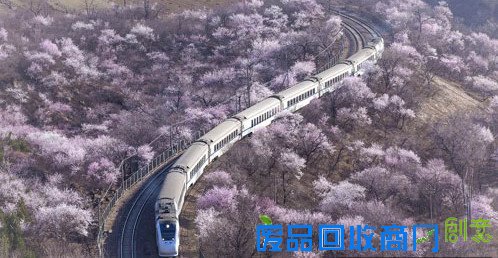 和谐号穿越居庸关花海 美到窒息