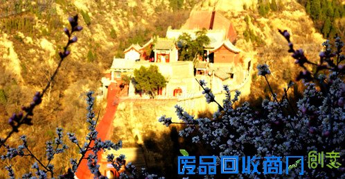 山西隰县：小西天桃花开映古寺