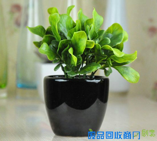 绿色植树节 中正睿城喊你一起争做环保达人