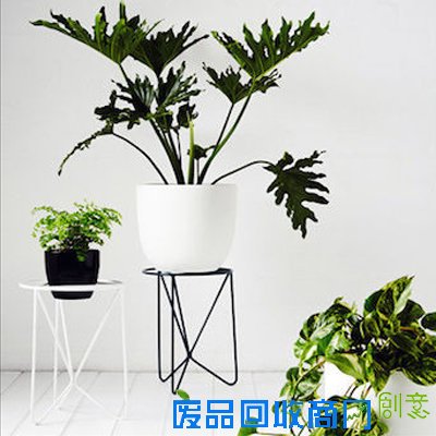 多肉植物 花盆如何玩花样(5)