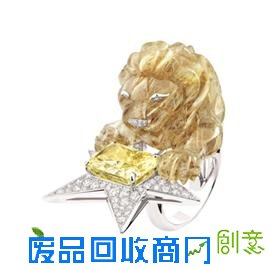 奇幻丛林历险