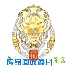 奇幻丛林历险