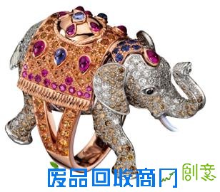 奇幻丛林历险