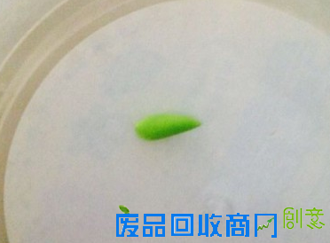 步骤4:搓几条绿色小水滴，略微压扁