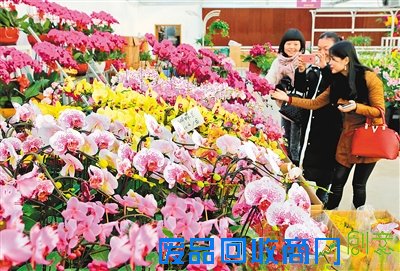 "金猴"纳福