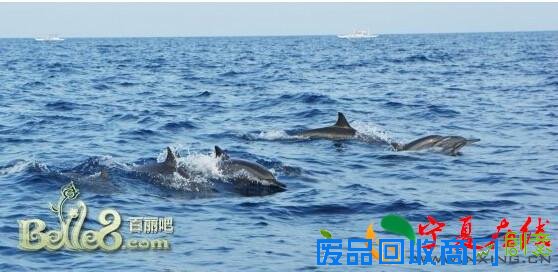 美图+攻略：细说菲律宾六大海岛
