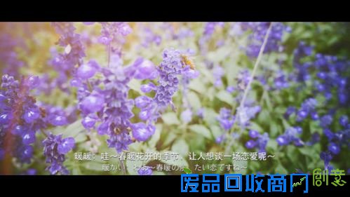 暖暖环游世界星空游乐园萌妹唯美COS