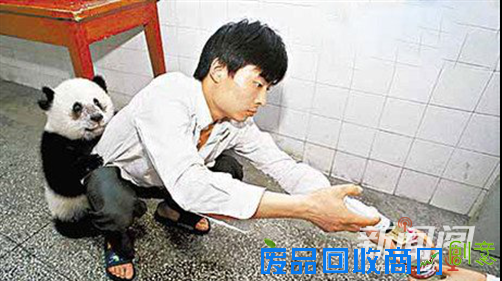 我们都是深井冰
