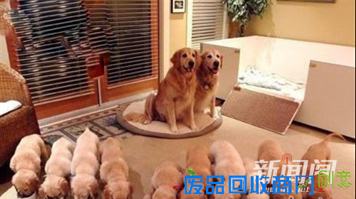 我们都是深井冰