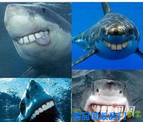 我们都是深井冰