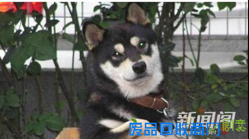 我们都是深井冰