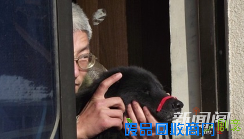 我们都是深井冰