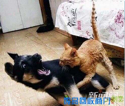 我们都是深井冰
