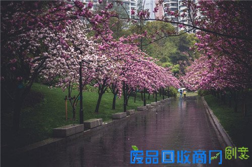 a5f4c13834c99aa4ea1b33ee5576f481.jpg