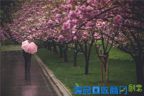 9b9cc731397379f2ef44b94a017040ec.jpg