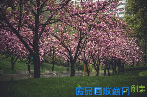 6f349ebbe969d7eda47b8d80504089b3.jpg