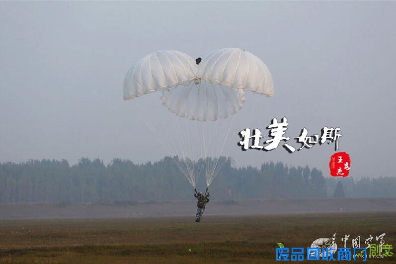 解放军跳伞唯美瞬间：海空壮美 鲜花烂漫(高清组图)