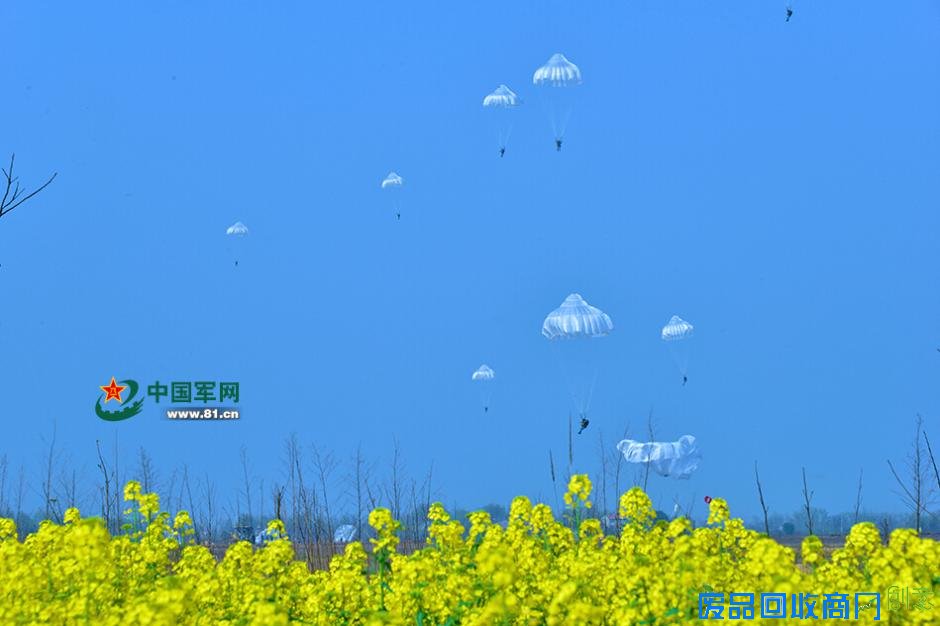 解放军跳伞唯美瞬间：海空壮美 鲜花烂漫(高清组图)
