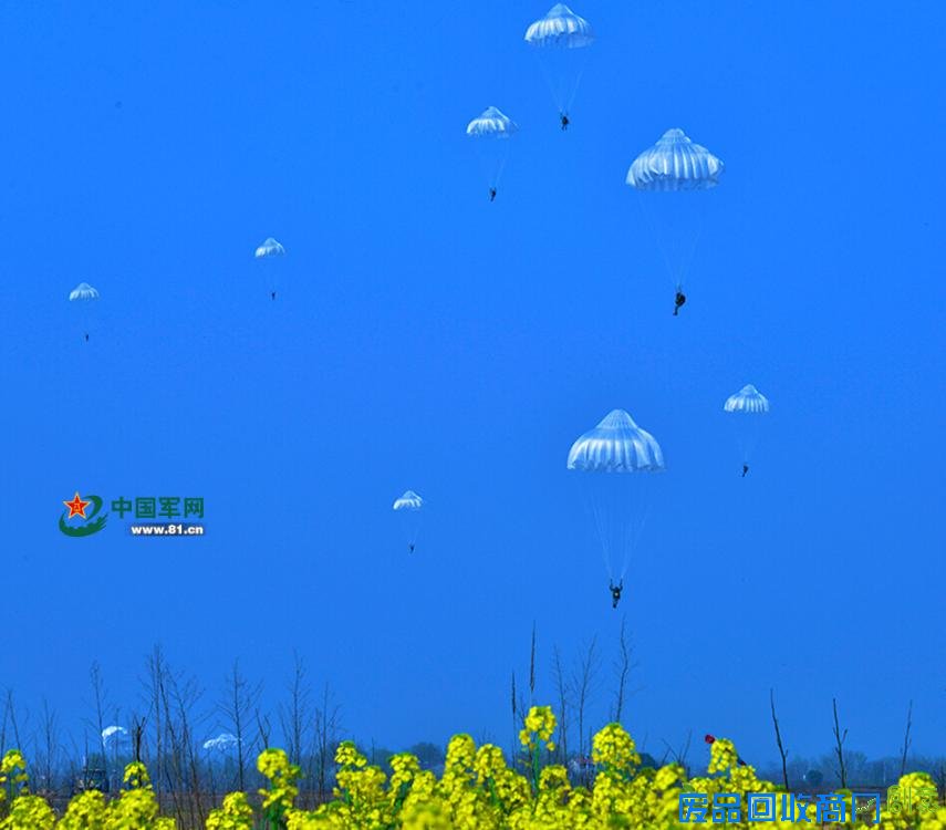 解放军跳伞唯美瞬间：海空壮美 鲜花烂漫(高清组图)