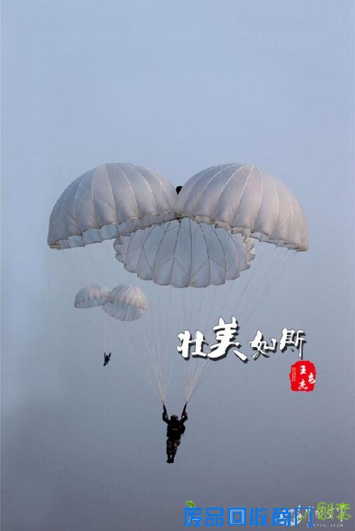 解放军跳伞唯美瞬间：海空壮美 鲜花烂漫(高清组图)