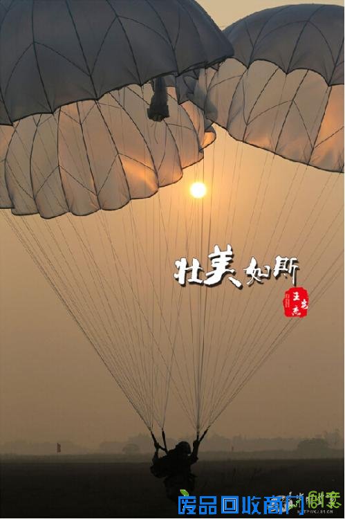 解放军跳伞唯美瞬间：海空壮美 鲜花烂漫(高清组图)