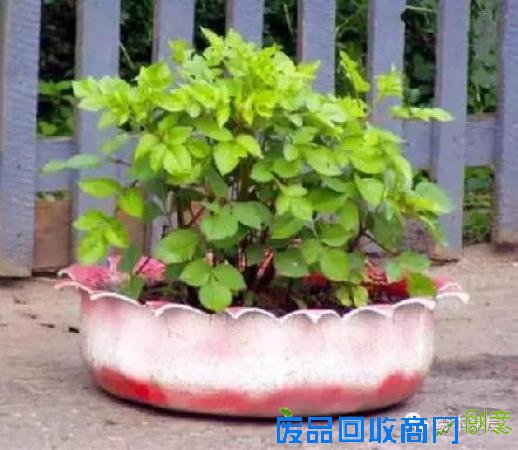 灯罩置物架甚至太阳能灯泡都能制成